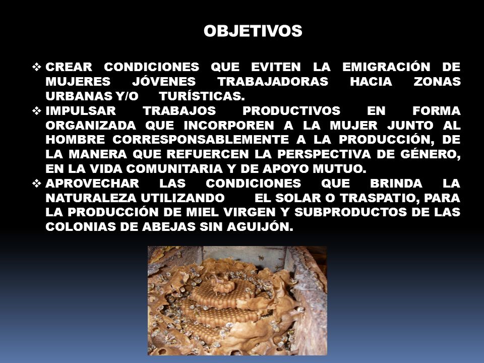 OBJETIVOS Crear condiciones que eviten la emigración de mujeres jóvenes trabajadoras hacia zonas urbanas y/o turísticas.