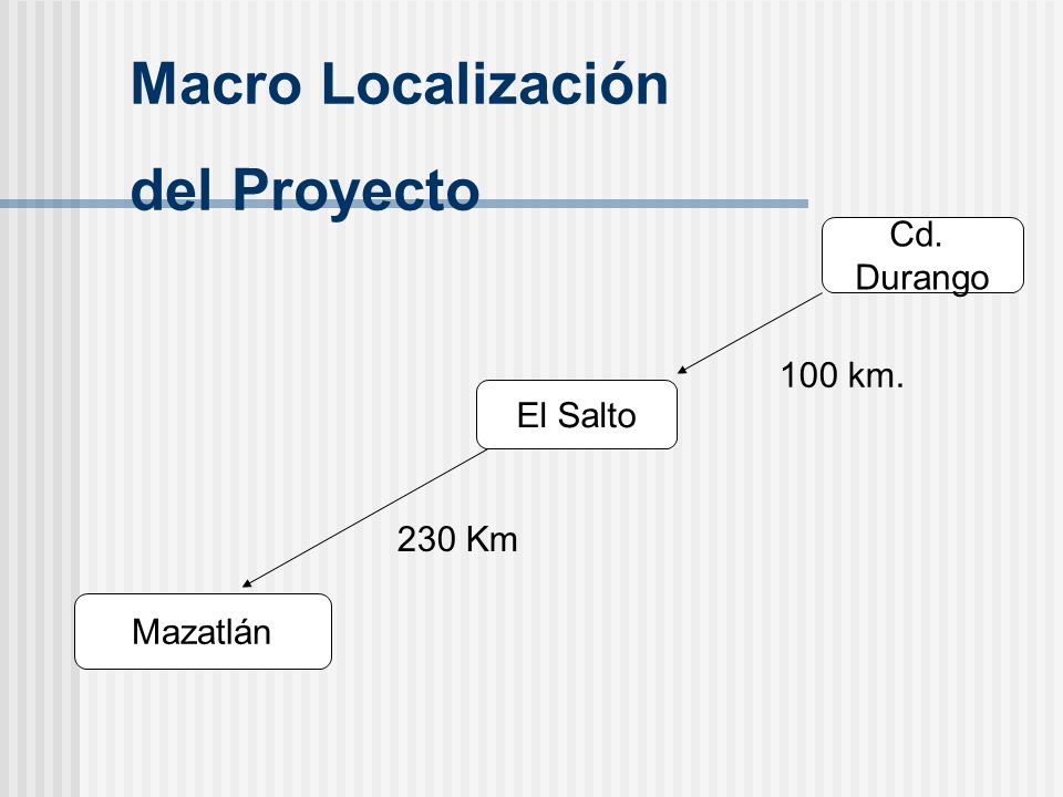 Macro Localización del Proyecto Cd. Durango 100 km. El Salto 230 Km