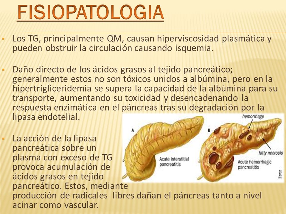 FISIOPATOLOGIA Los TG, principalmente QM, causan hiperviscosidad plasmática y pueden obstruir la circulación causando isquemia.