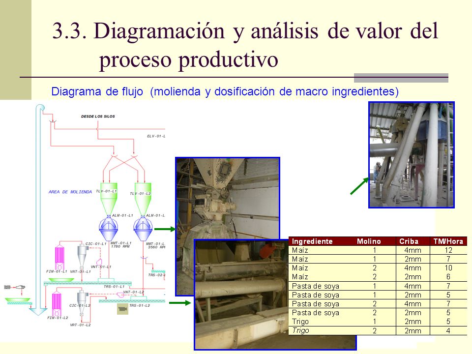 3.3. Diagramación y análisis de valor del proceso productivo