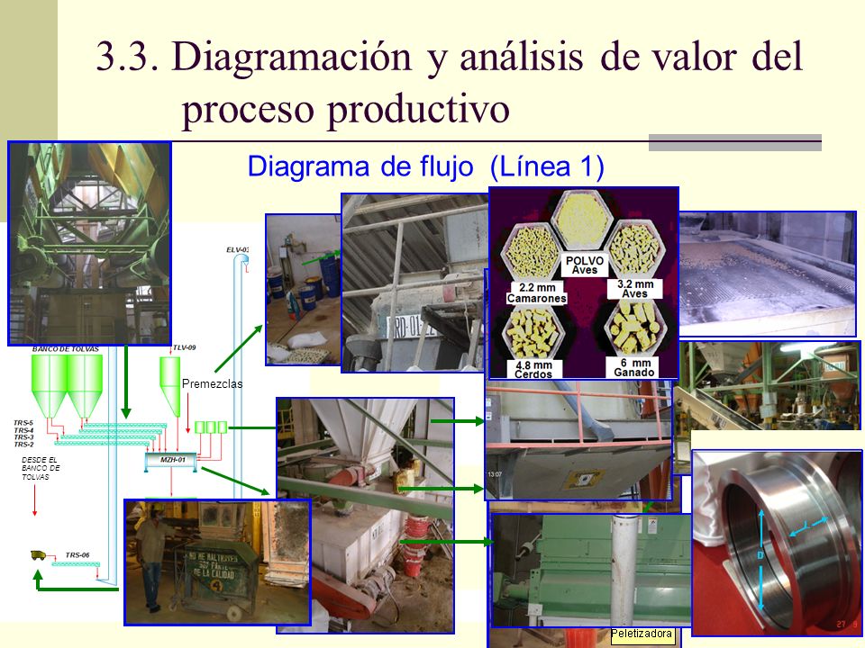 3.3. Diagramación y análisis de valor del proceso productivo