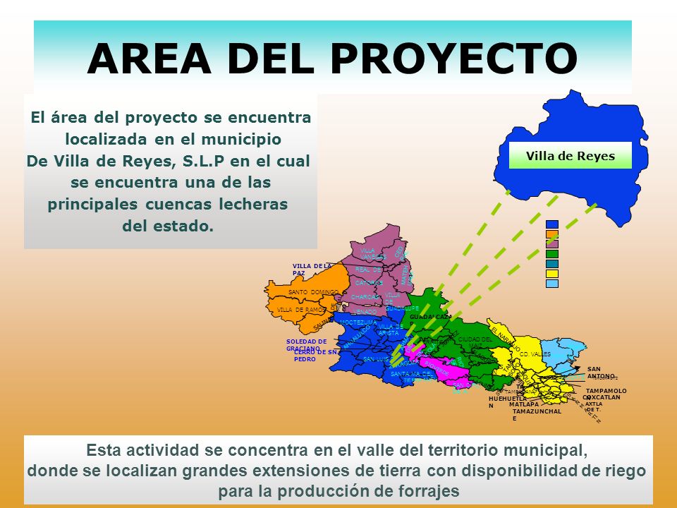 AREA DEL PROYECTO El área del proyecto se encuentra. localizada en el municipio. De Villa de Reyes, S.L.P en el cual.