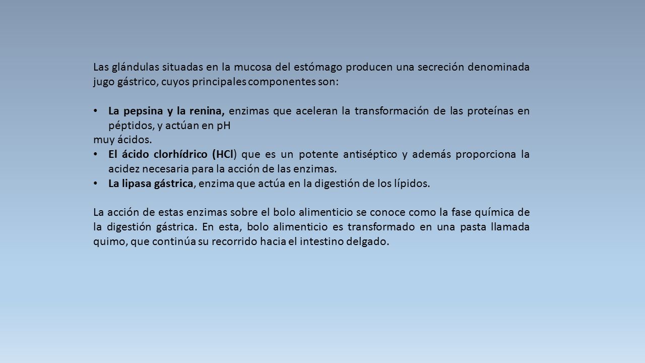 Las glándulas situadas en la mucosa del estómago producen una secreción denominada jugo gástrico, cuyos principales componentes son: