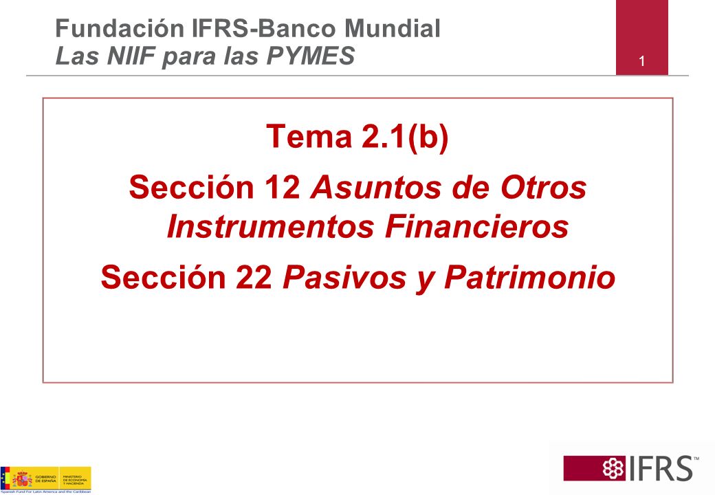 Sección 12 Asuntos de Otros Instrumentos Financieros