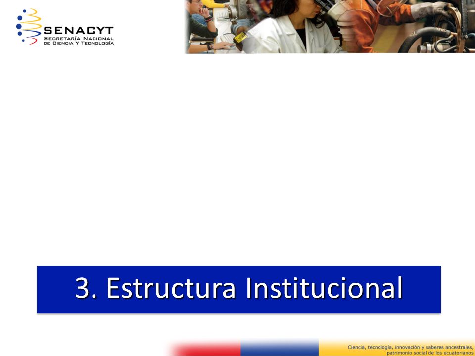3. Estructura Institucional