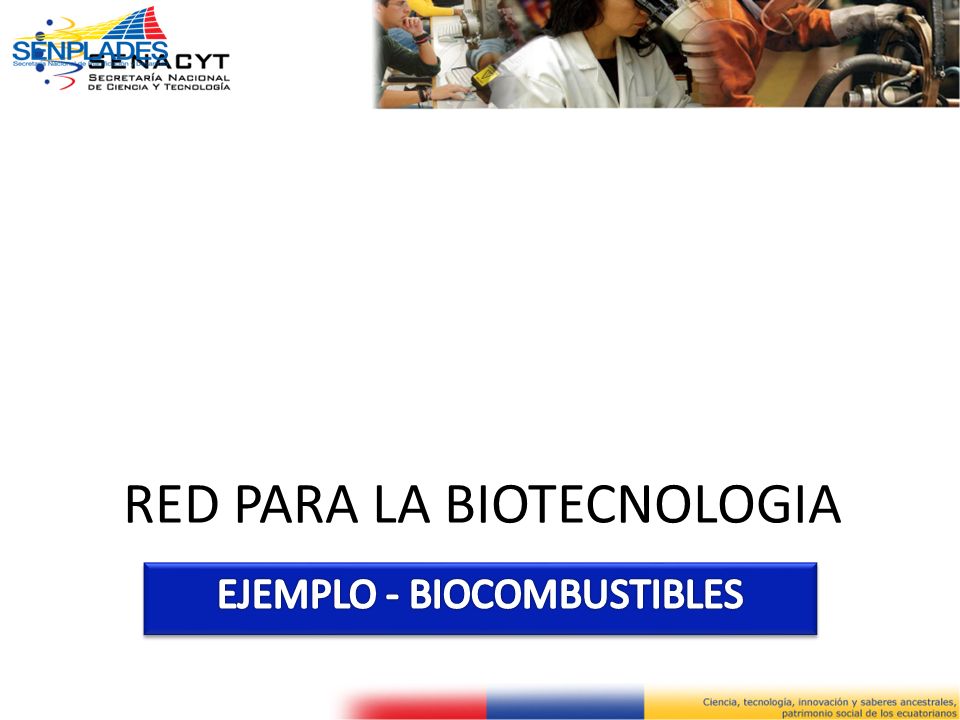 RED PARA LA BIOTECNOLOGIA