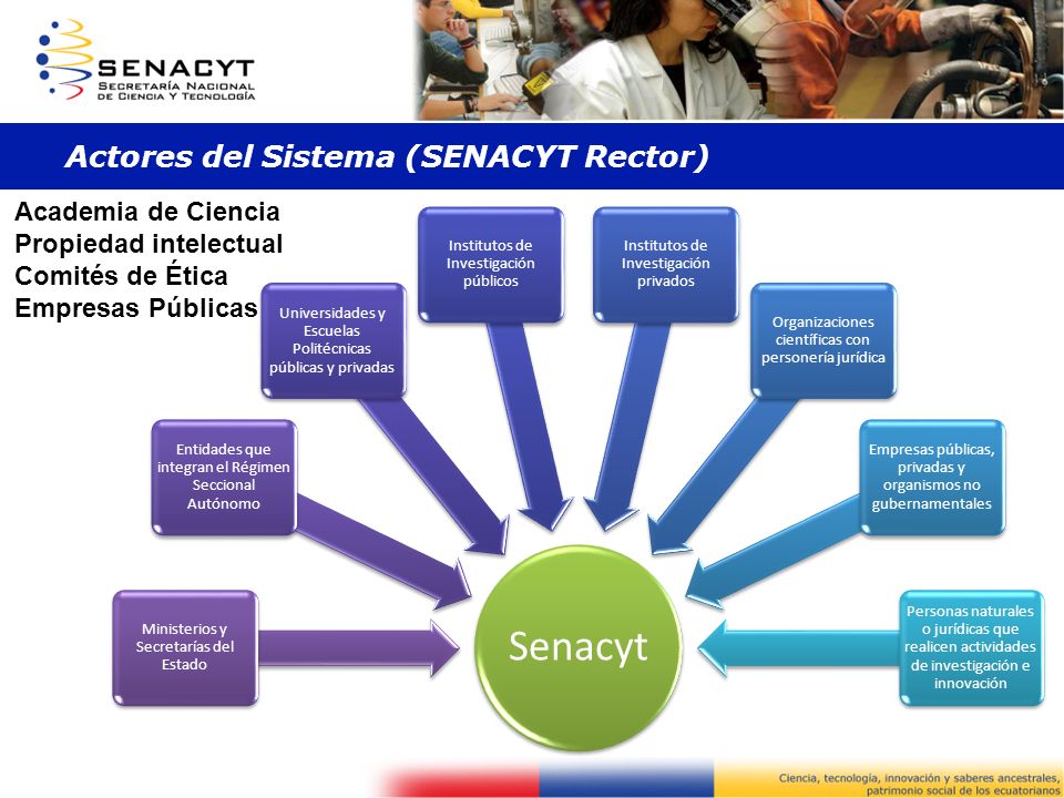 Actores del Sistema (SENACYT Rector)