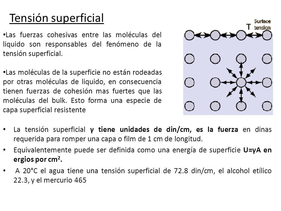 Tensión superficial Las fuerzas cohesivas entre las moléculas del liquido son responsables del fenómeno de la tensión superficial.