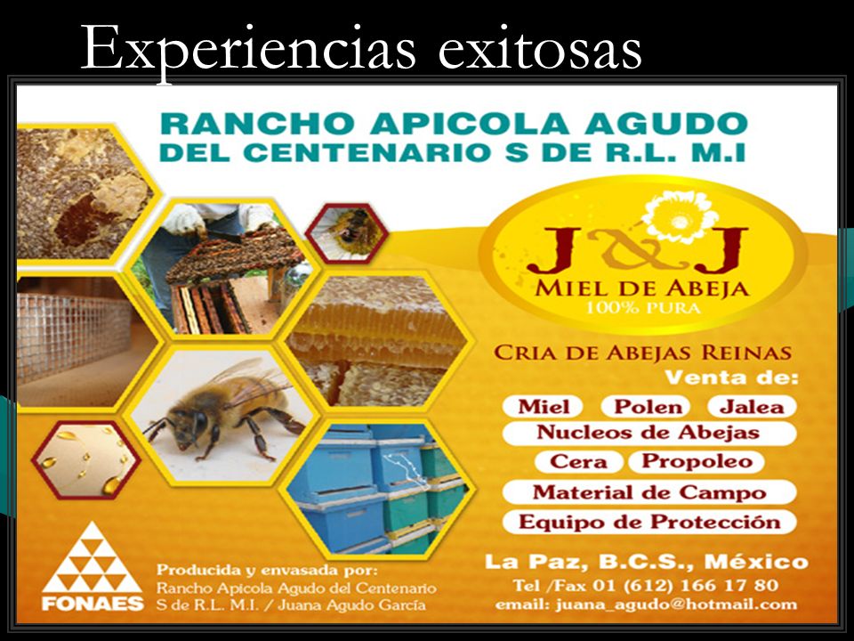 Experiencias exitosas
