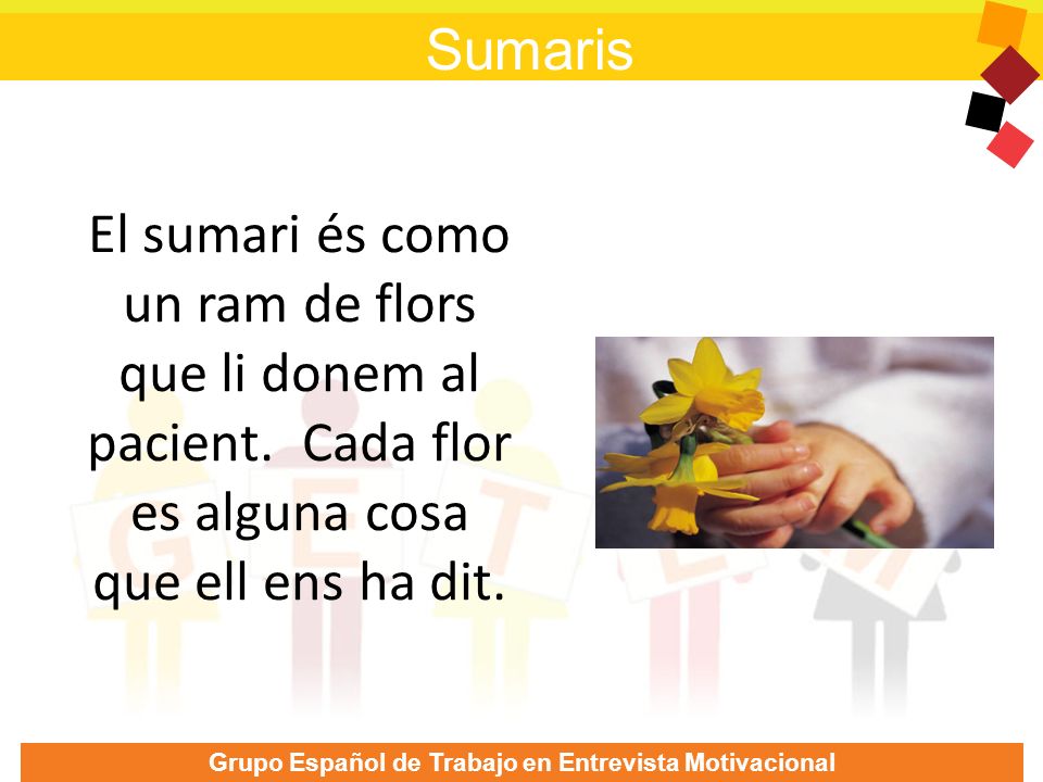 Sumaris El sumari és como un ram de flors que li donem al pacient.