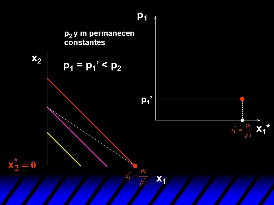 p1 p2 y m permanecen constantes x2 p1 = p1’ < p2 p1’ x1* x1