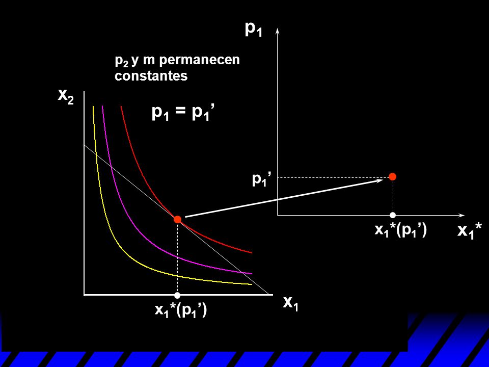 p1 p2 y m permanecen constantes p1 = p1’ p1’ x1*(p1’) x1* x1*(p1’)