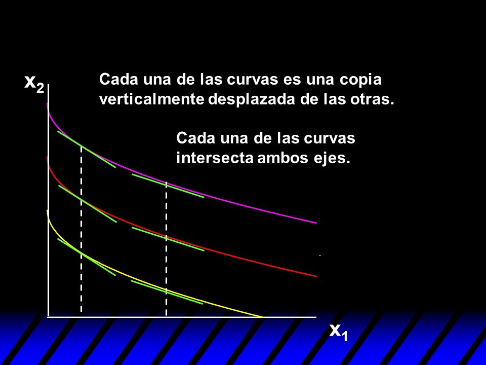 x2 Cada una de las curvas es una copia verticalmente desplazada de las otras. Cada una de las curvas intersecta ambos ejes.