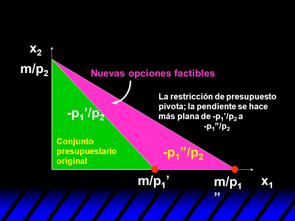 x2 m/p2 -p1’/p2 -p1 /p2 m/p1’ m/p1 x1 Nuevas opciones factibles