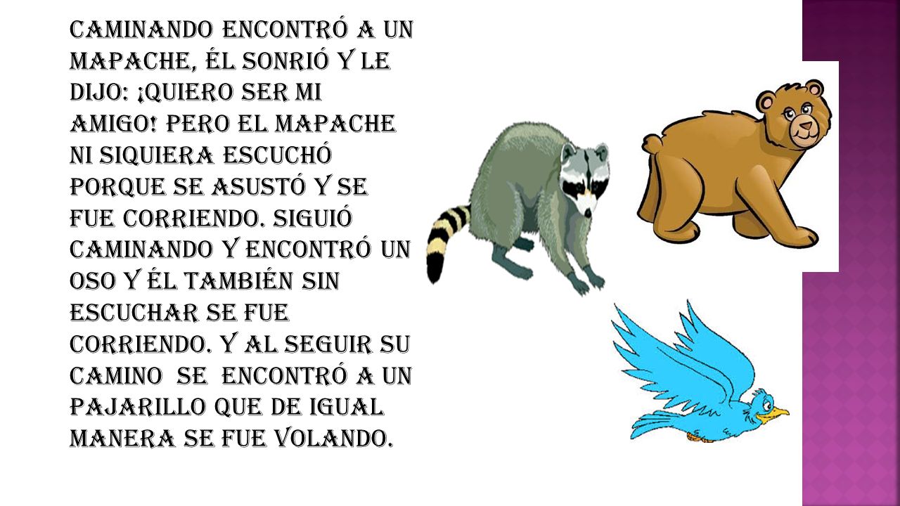 Caminando encontró a un mapache, él sonrió y le dijo: ¡Quiero ser mi amigo.