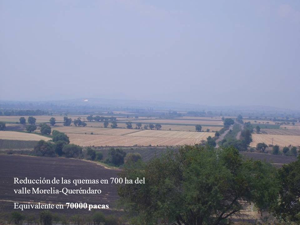 Reducción de las quemas en 700 ha del valle Morelia-Queréndaro