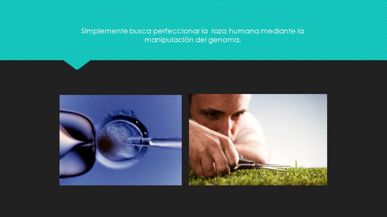 Simplemente busca perfeccionar la raza humana mediante la manipulación del genoma.