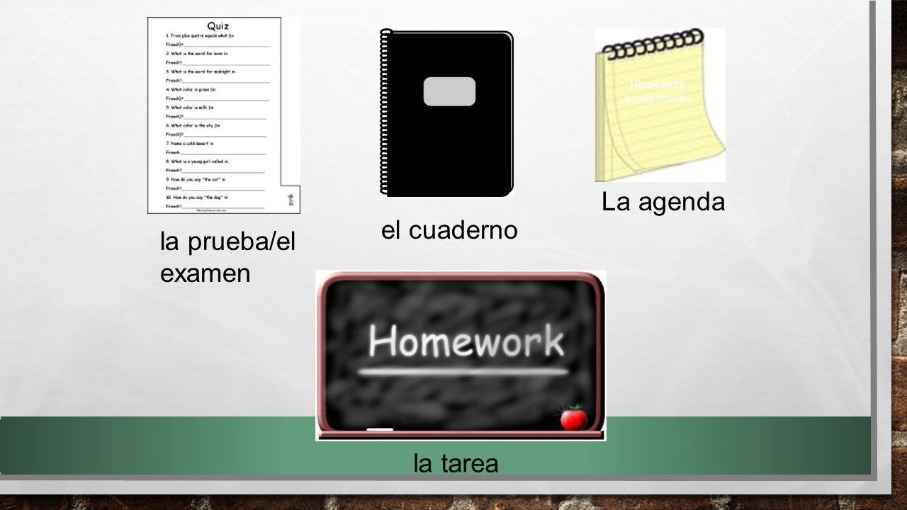 La agenda el cuaderno la prueba/el examen la tarea Homework
