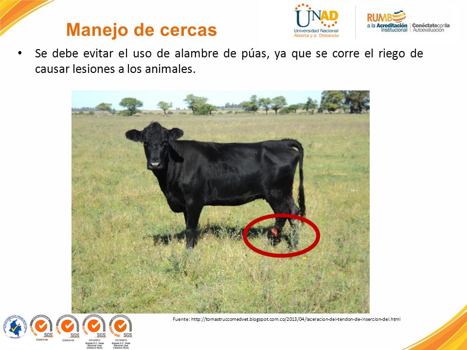 Manejo de cercas Se debe evitar el uso de alambre de púas, ya que se corre el riego de causar lesiones a los animales.