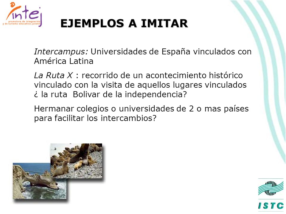 EJEMPLOS A IMITAR Intercampus: Universidades de España vinculados con América Latina.