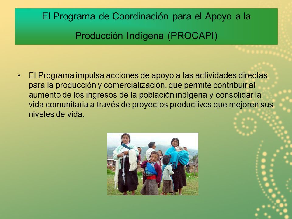 El Programa de Coordinación para el Apoyo a la Producción Indígena (PROCAPI)