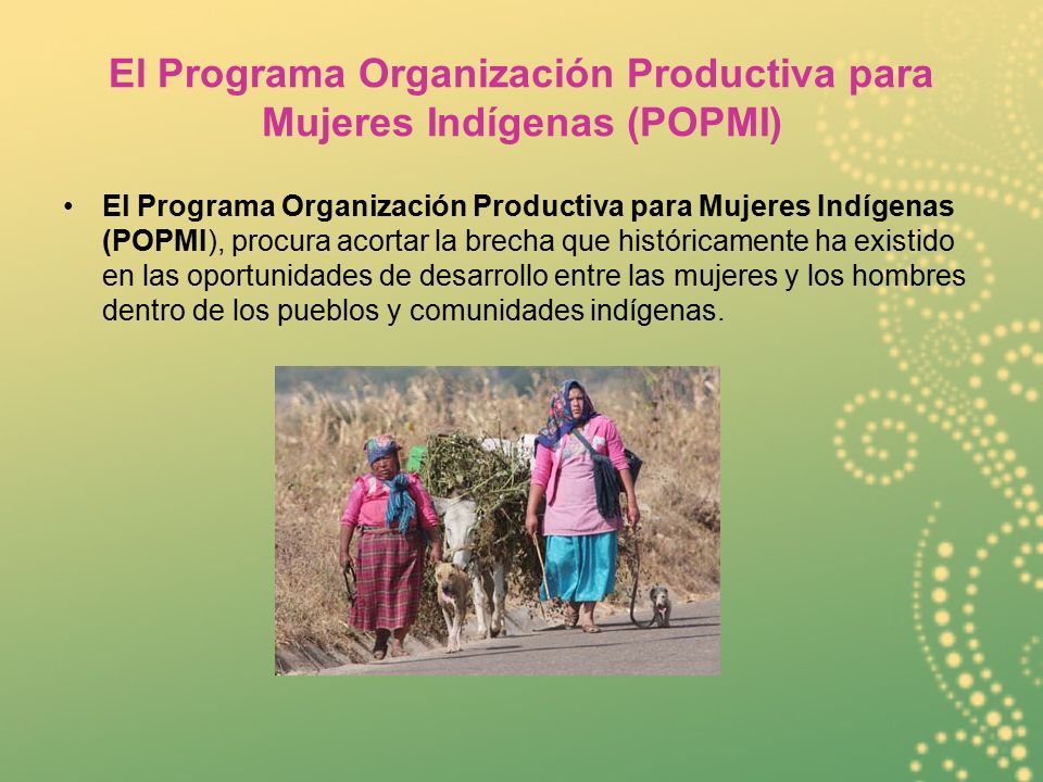 El Programa Organización Productiva para Mujeres Indígenas (POPMI)