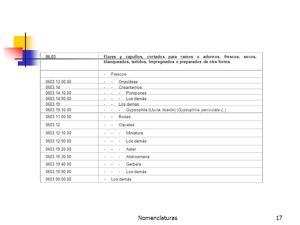 06.03 Flores y capullos, cortados para ramos o adornos, frescos, secos, blanqueados, teñidos, impregnados o preparados de otra forma.