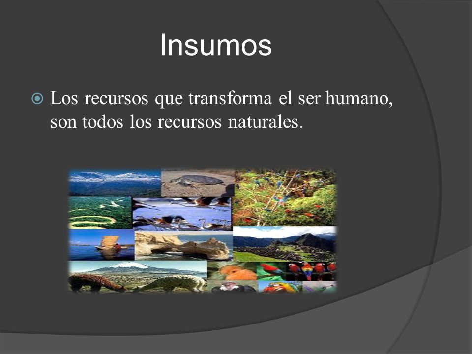 Insumos Los recursos que transforma el ser humano, son todos los recursos naturales.