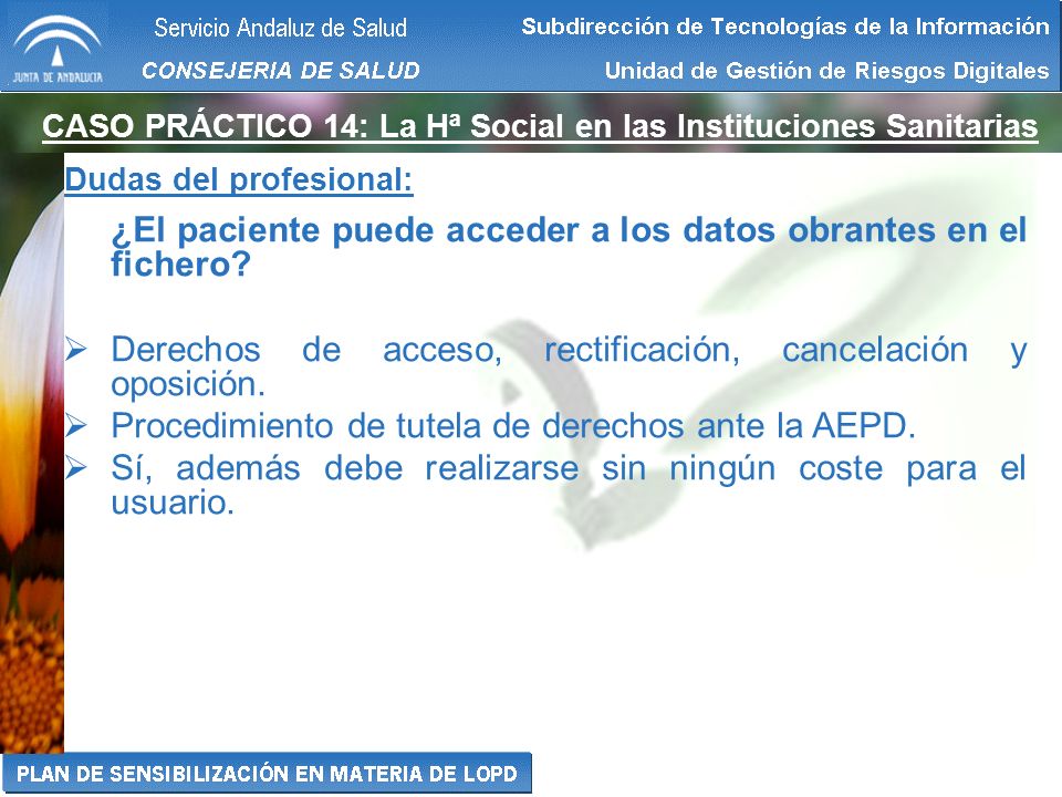 ¿El paciente puede acceder a los datos obrantes en el fichero