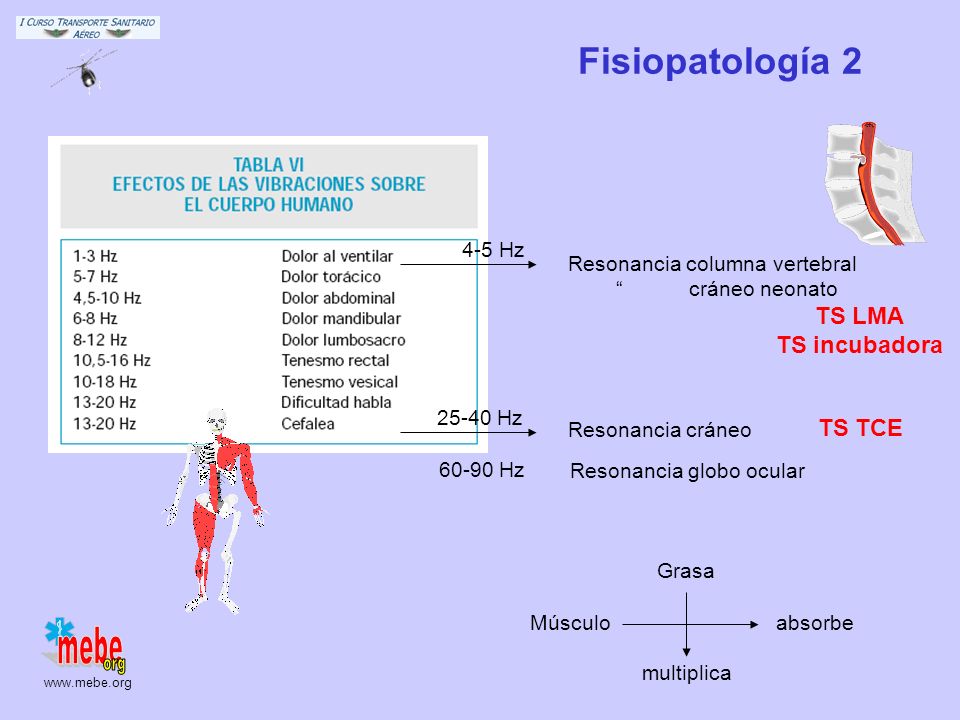 Fisiopatología 2 TS LMA TS incubadora TS TCE 4-5 Hz