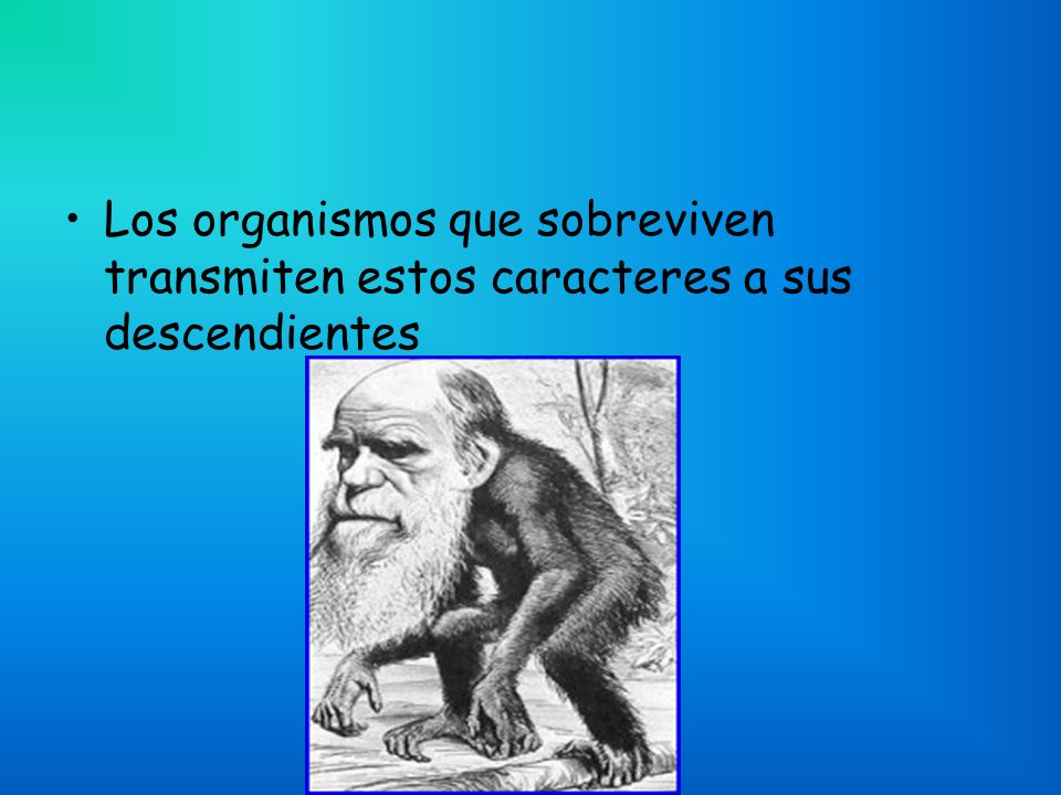 Los organismos que sobreviven transmiten estos caracteres a sus descendientes