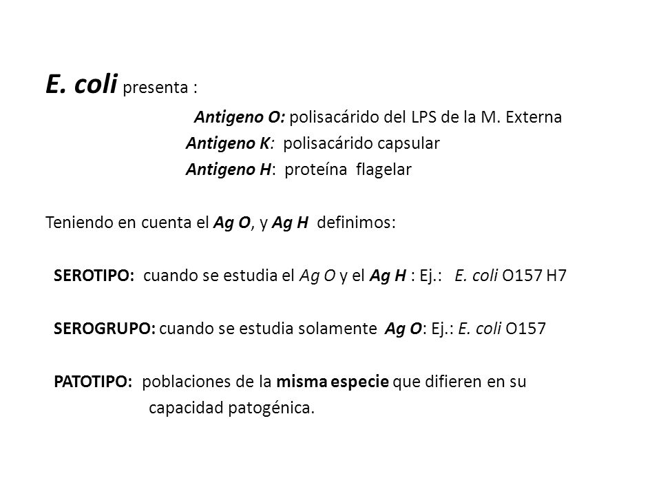E. coli presenta : Antigeno O: polisacárido del LPS de la M. Externa