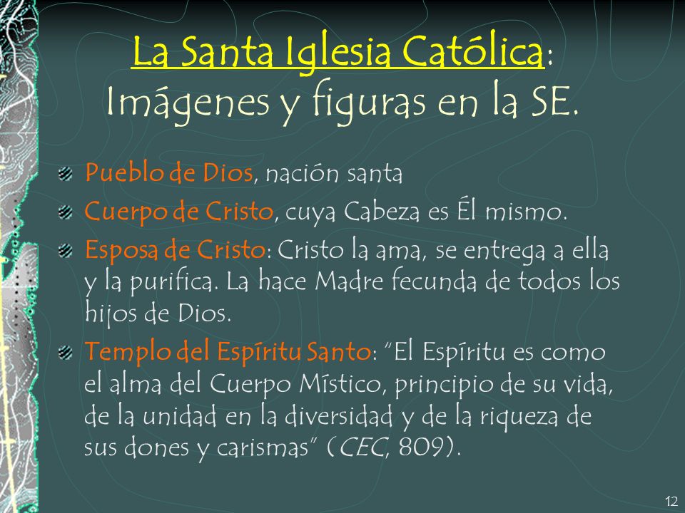 La Santa Iglesia Católica: Imágenes y figuras en la SE.