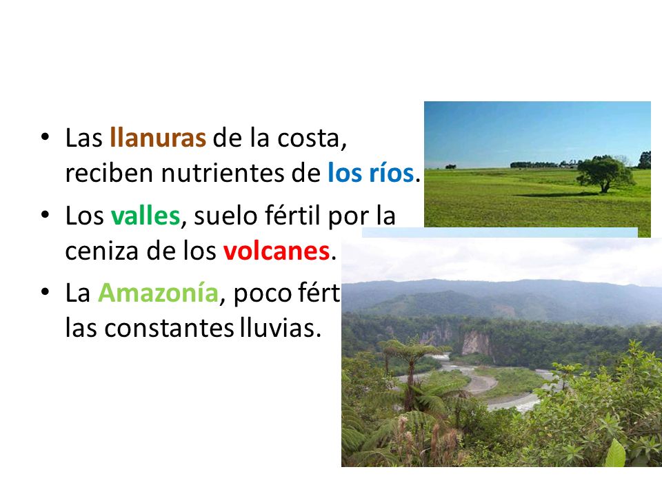 Las llanuras de la costa, reciben nutrientes de los ríos.