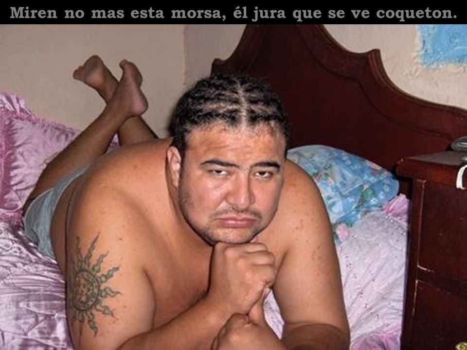 Miren no mas esta morsa, él jura que se ve coqueton.