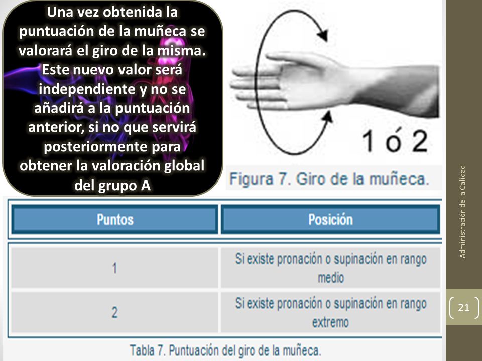 Una vez obtenida la puntuación de la muñeca se valorará el giro de la misma. Este nuevo valor será independiente y no se añadirá a la puntuación anterior, si no que servirá posteriormente para obtener la valoración global del grupo A