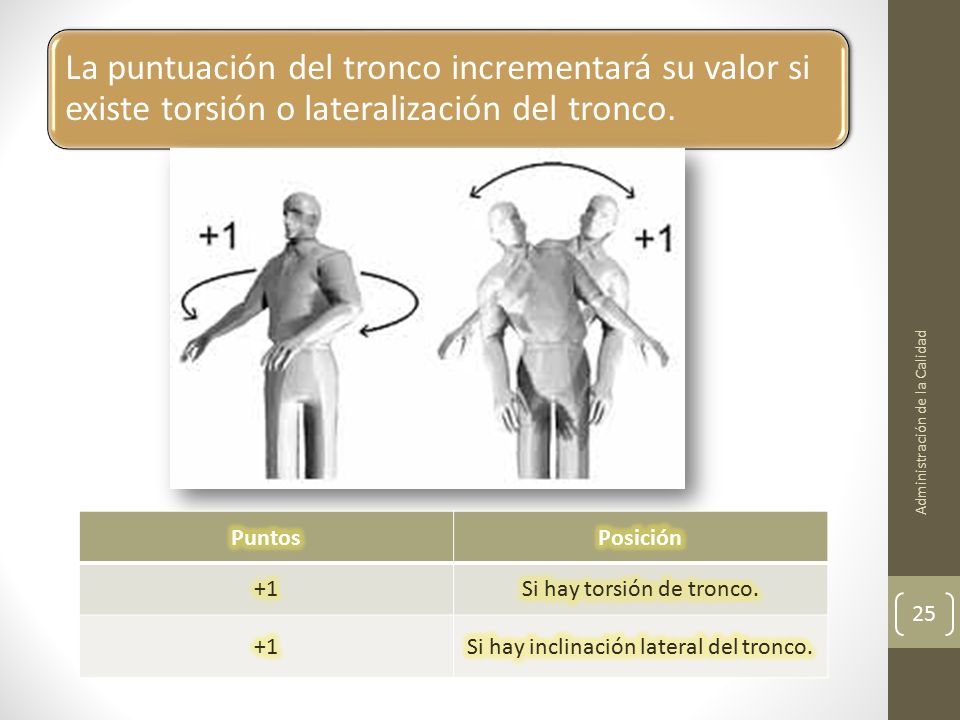 Si hay torsión de tronco. Si hay inclinación lateral del tronco.