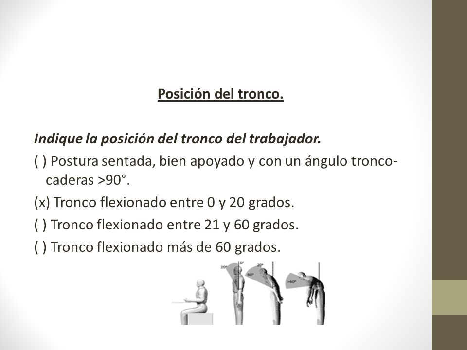 Posición del tronco. Indique la posición del tronco del trabajador. ( ) Postura sentada, bien apoyado y con un ángulo tronco-caderas >90°.