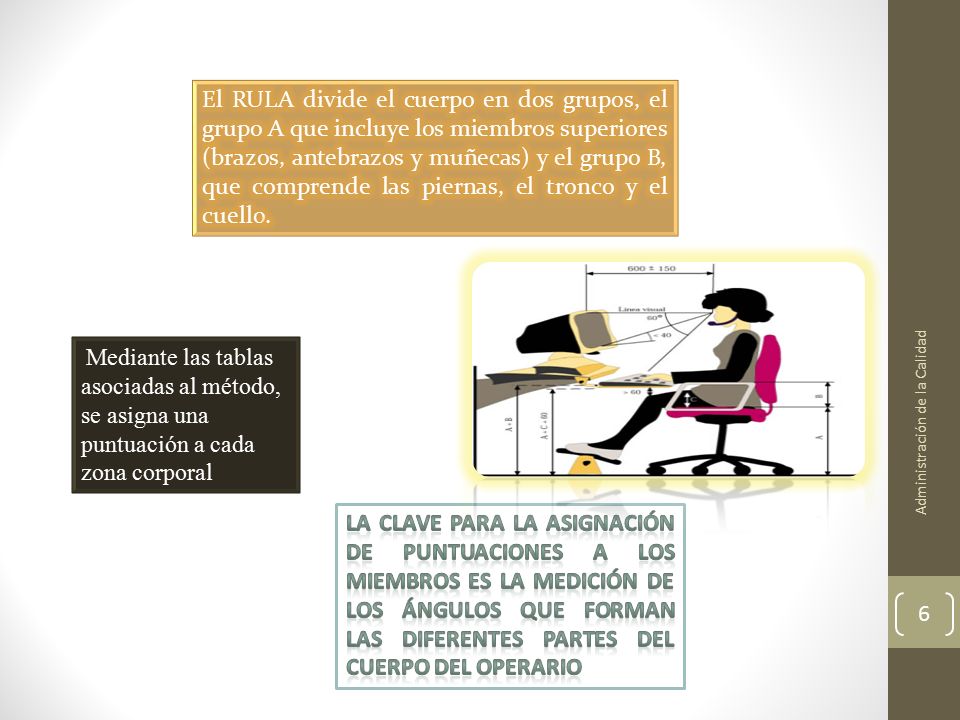 El RULA divide el cuerpo en dos grupos, el grupo A que incluye los miembros superiores (brazos, antebrazos y muñecas) y el grupo B, que comprende las piernas, el tronco y el cuello.