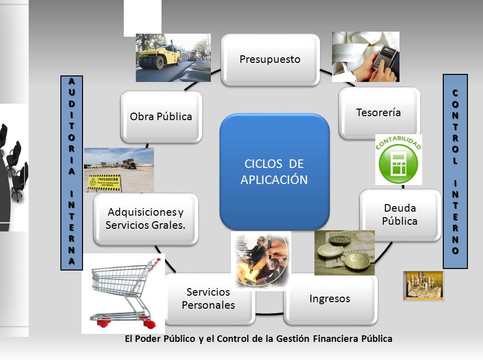 El Poder Público y el Control de la Gestión Financiera Pública