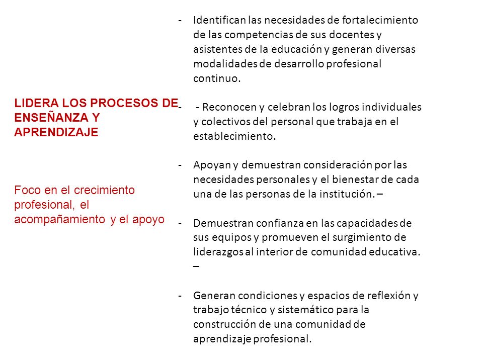 Identifican las necesidades de fortalecimiento de las competencias de sus docentes y asistentes de la educación y generan diversas modalidades de desarrollo profesional continuo.