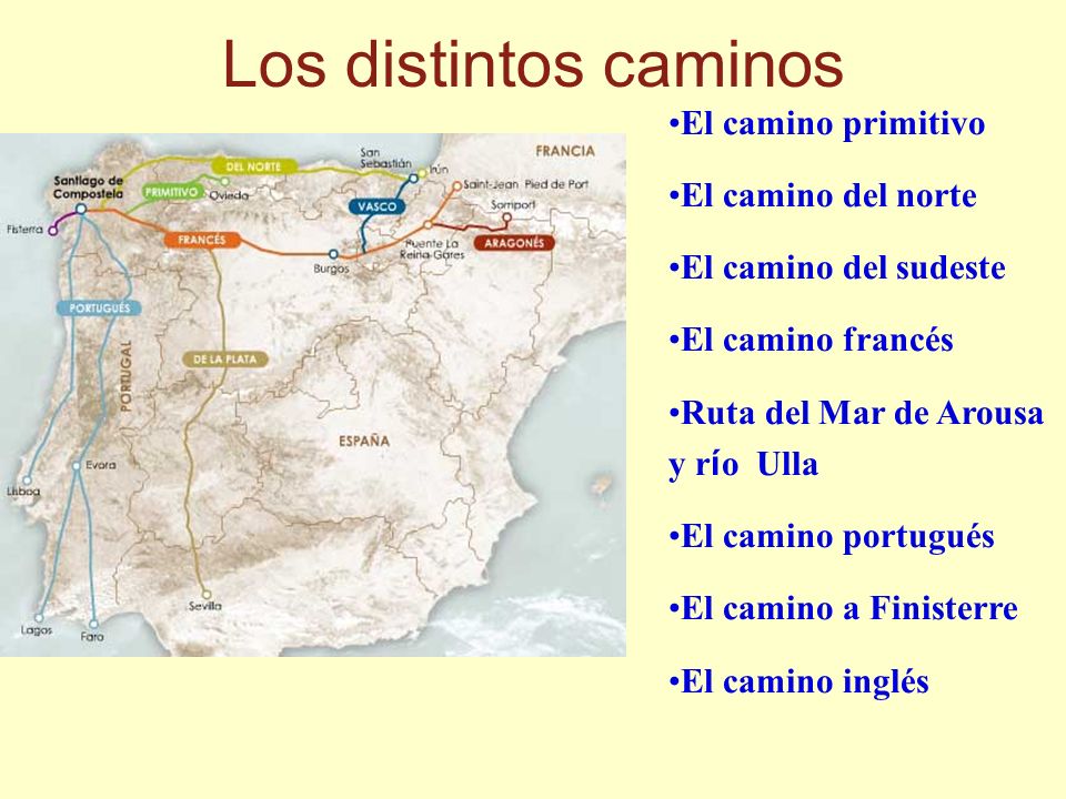 Los distintos caminos El camino primitivo El camino del norte