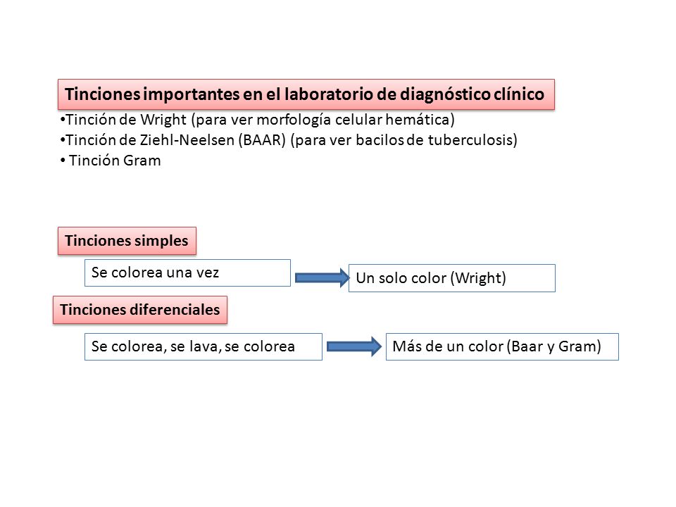 Tinciones importantes en el laboratorio de diagnóstico clínico