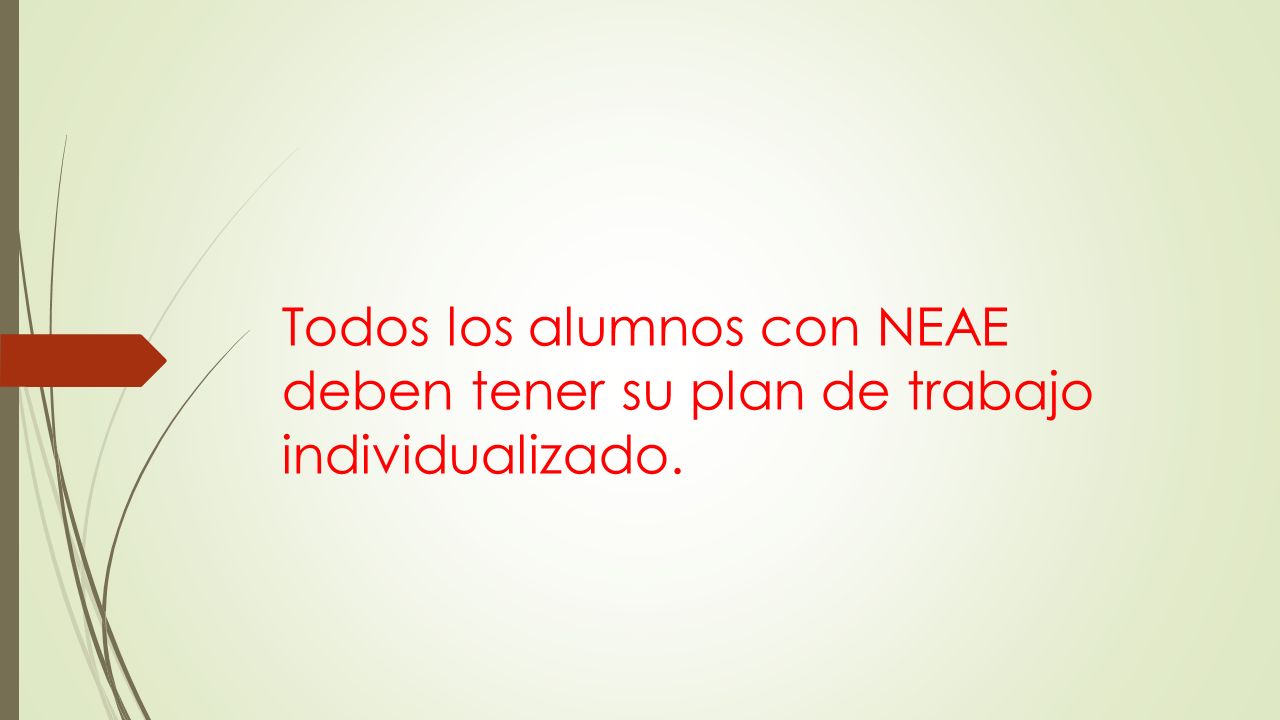 Todos los alumnos con NEAE deben tener su plan de trabajo individualizado.