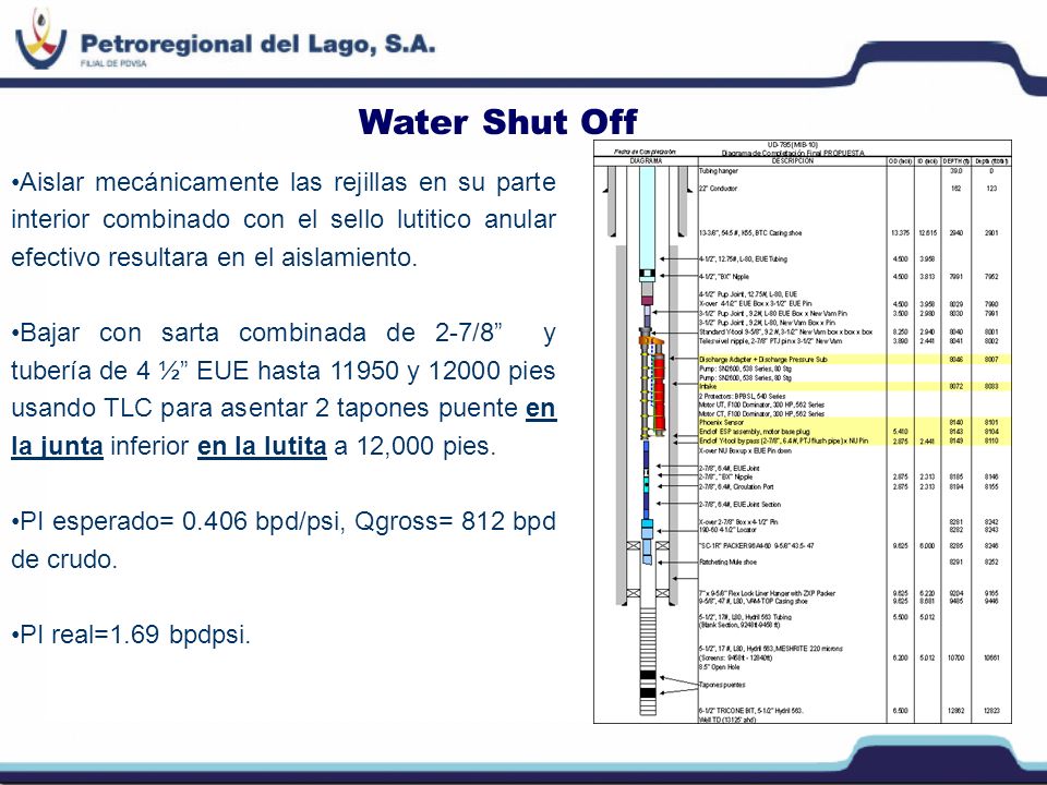 Water Shut Off Aislar mecánicamente las rejillas en su parte interior combinado con el sello lutitico anular efectivo resultara en el aislamiento.