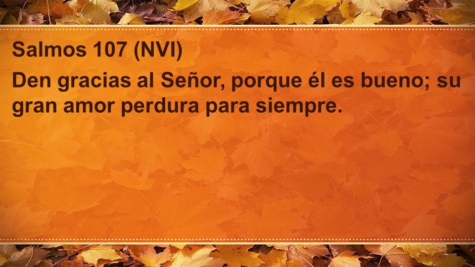 Salmos 107 (NVI) Den gracias al Señor, porque él es bueno; su gran amor perdura para siempre.