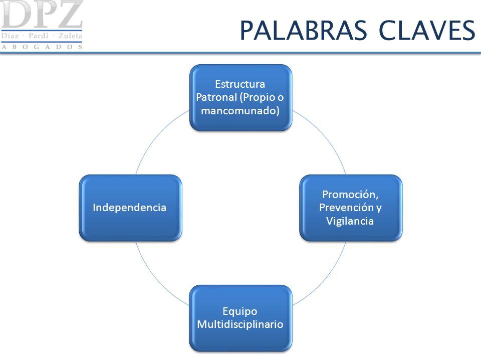 PALABRAS CLAVES Estructura Patronal (Propio o mancomunado)