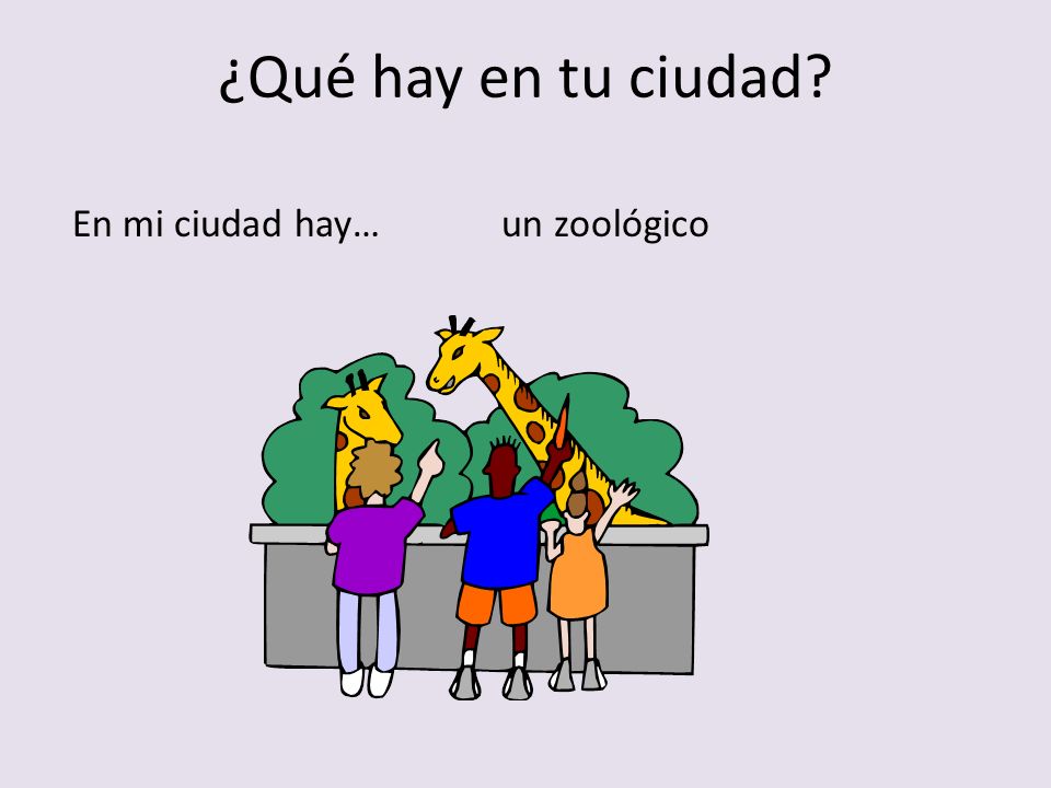 ¿Qué hay en tu ciudad En mi ciudad hay… un zoológico