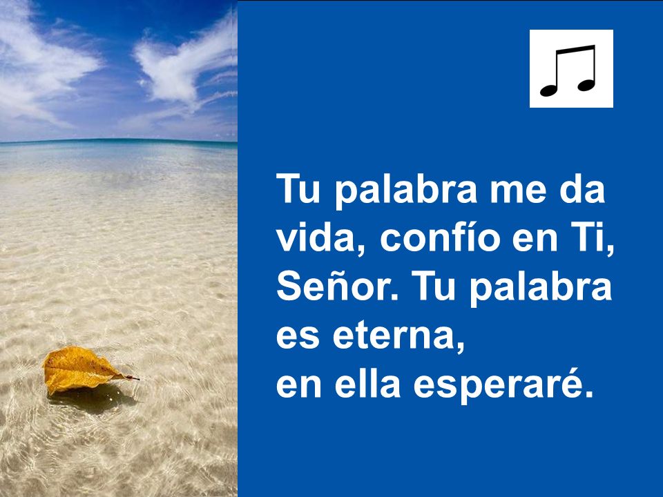 Tu palabra me da vida, confío en Ti, Señor. Tu palabra es eterna, en ella esperaré.