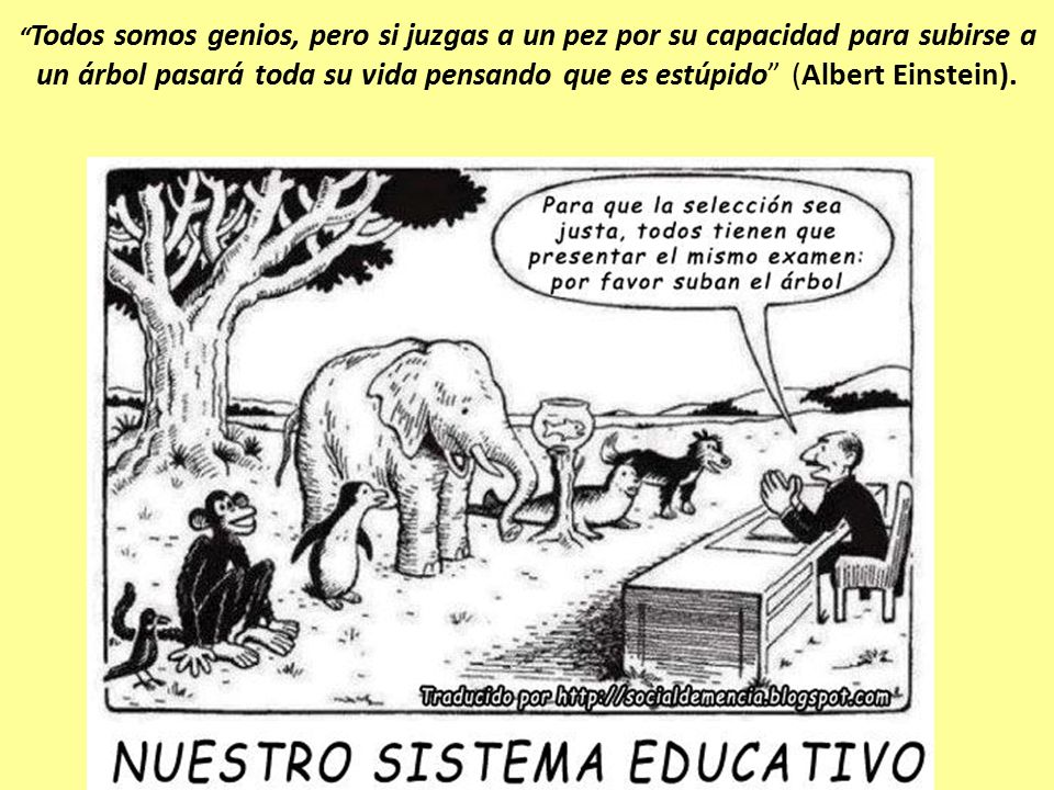Todos somos genios, pero si juzgas a un pez por su capacidad para subirse a un árbol pasará toda su vida pensando que es estúpido (Albert Einstein).